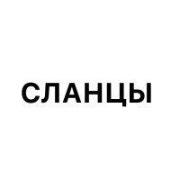 Сланцы