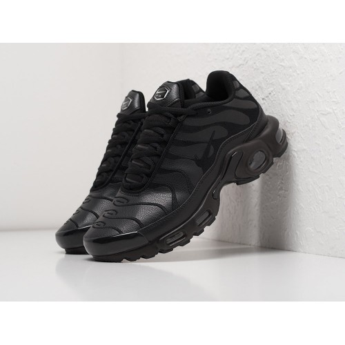 Кроссовки Nike Air Max Plus TN