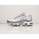 Кроссовки Nike Air Max Plus TN