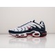 Кроссовки Nike Air Max Plus TN