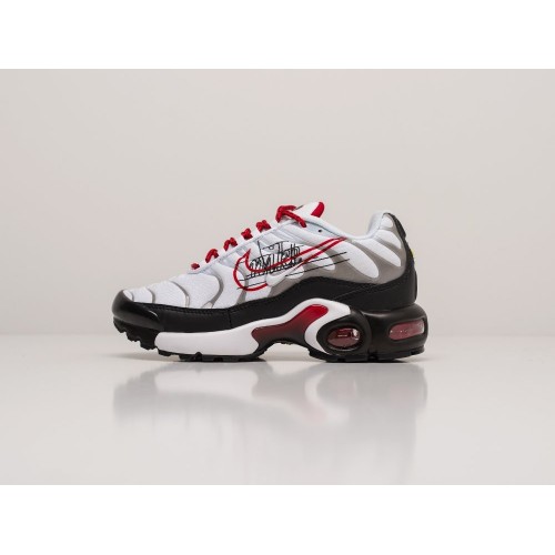 Кроссовки Nike Air Max Plus TN