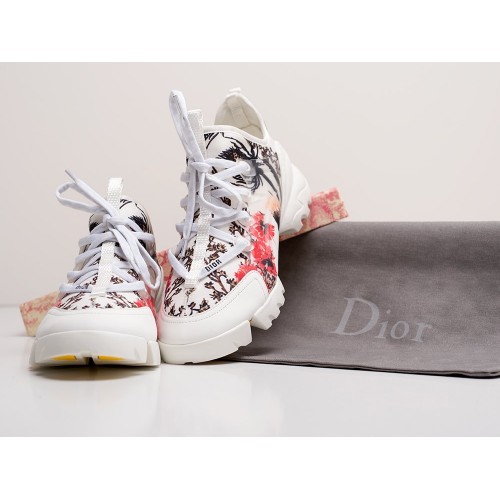 Кроссовки Dior D-Connect