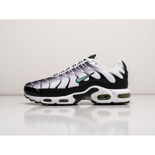 Кроссовки Nike Air Max Plus TN