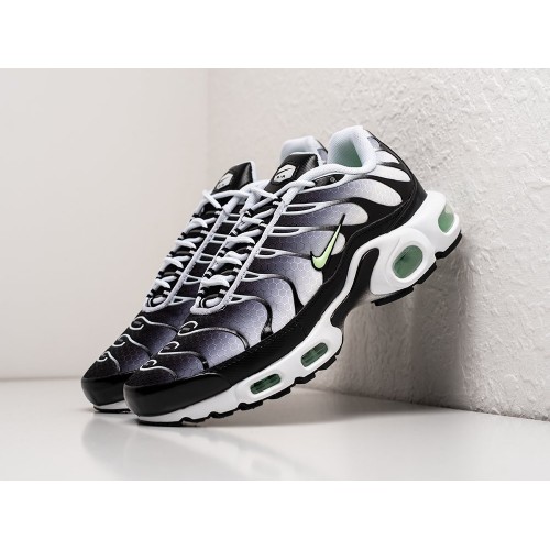 Кроссовки Nike Air Max Plus TN