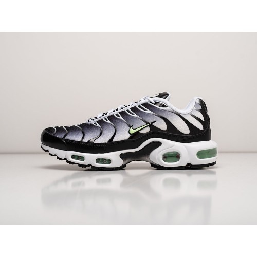 Кроссовки Nike Air Max Plus TN