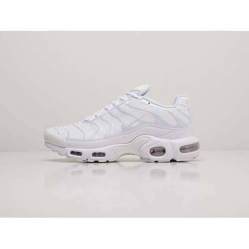 Кроссовки Nike Air Max Plus