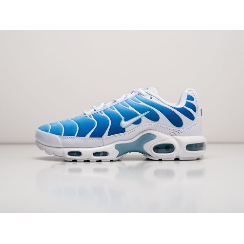 Кроссовки Nike Air Max Plus TN