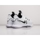 Кроссовки Nike Lebron Witness V